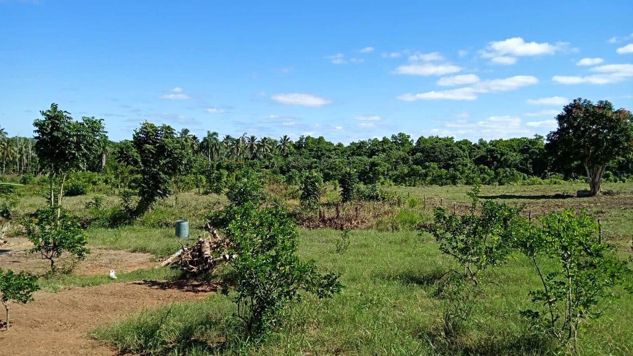 Photo of Outdoor in Monte Plata