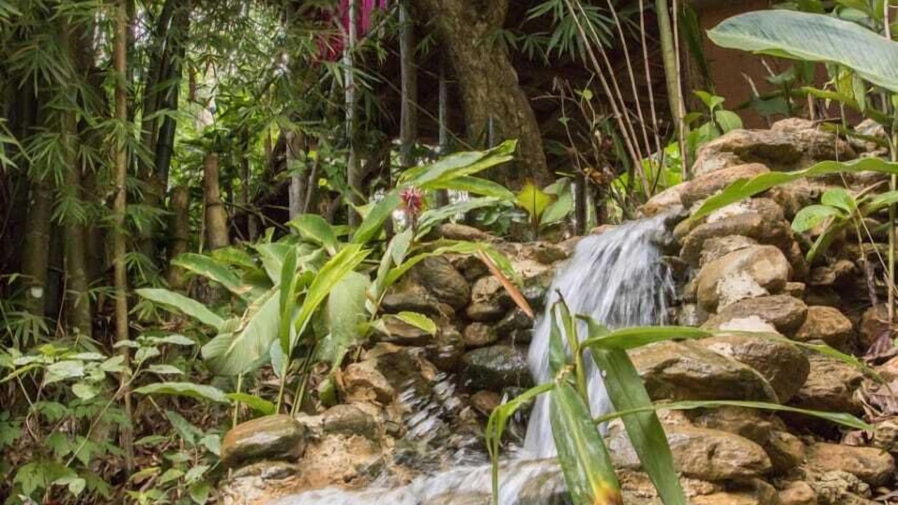 Photo of Outdoor in Samana
