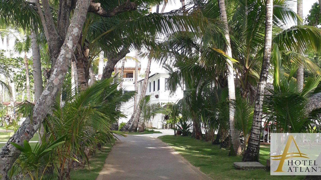 Photo of Outdoor in Las Terrenas