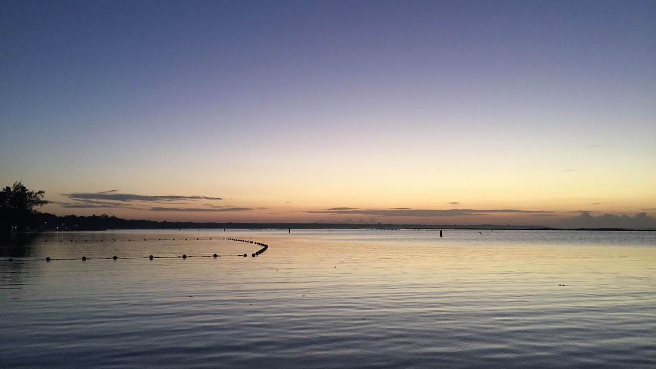 Photo of Others in Boca Chica