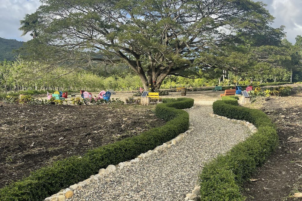 Photo of Outdoor in Puerto Plata