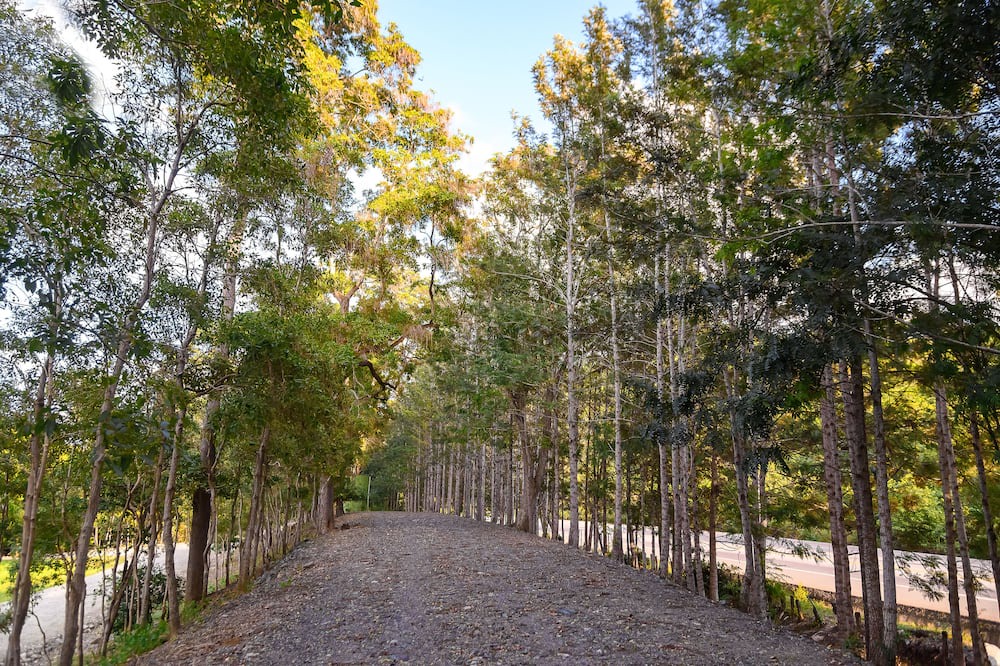 Photo of Outdoor in Puerto Plata