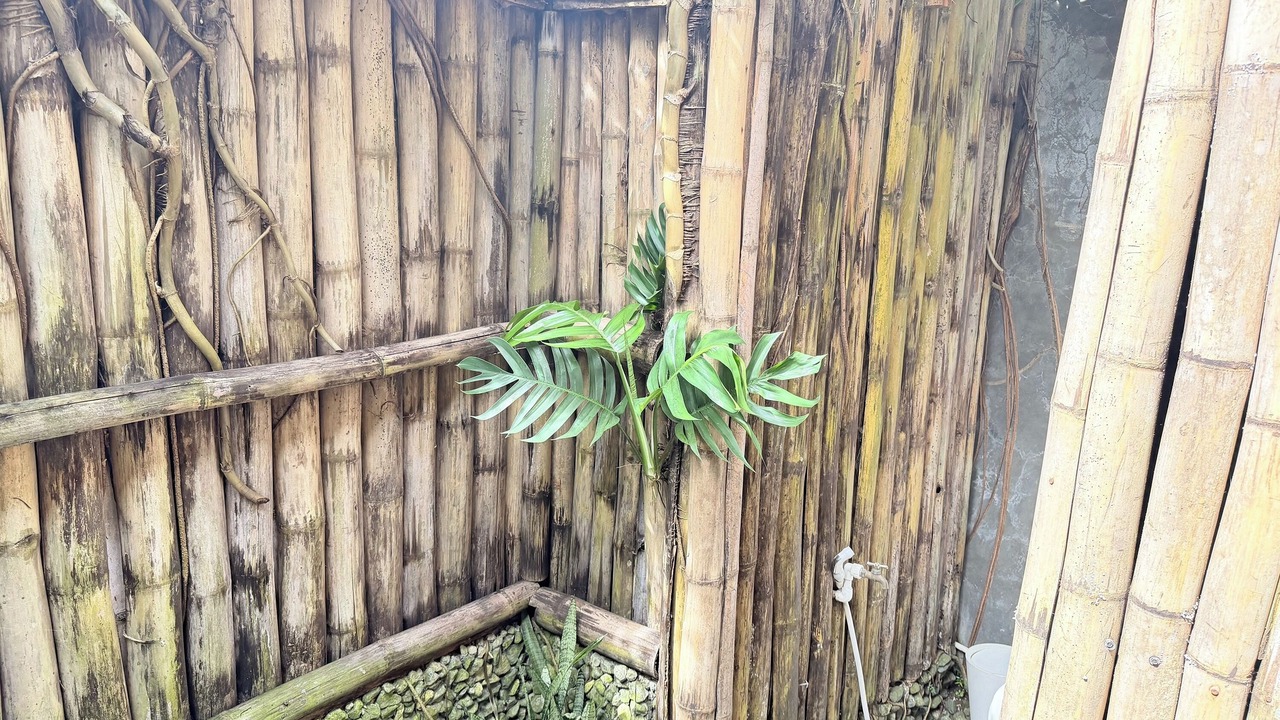 Photo of Bathroom in Siquijor