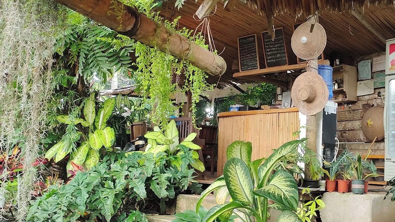 Photo of Others in Siquijor