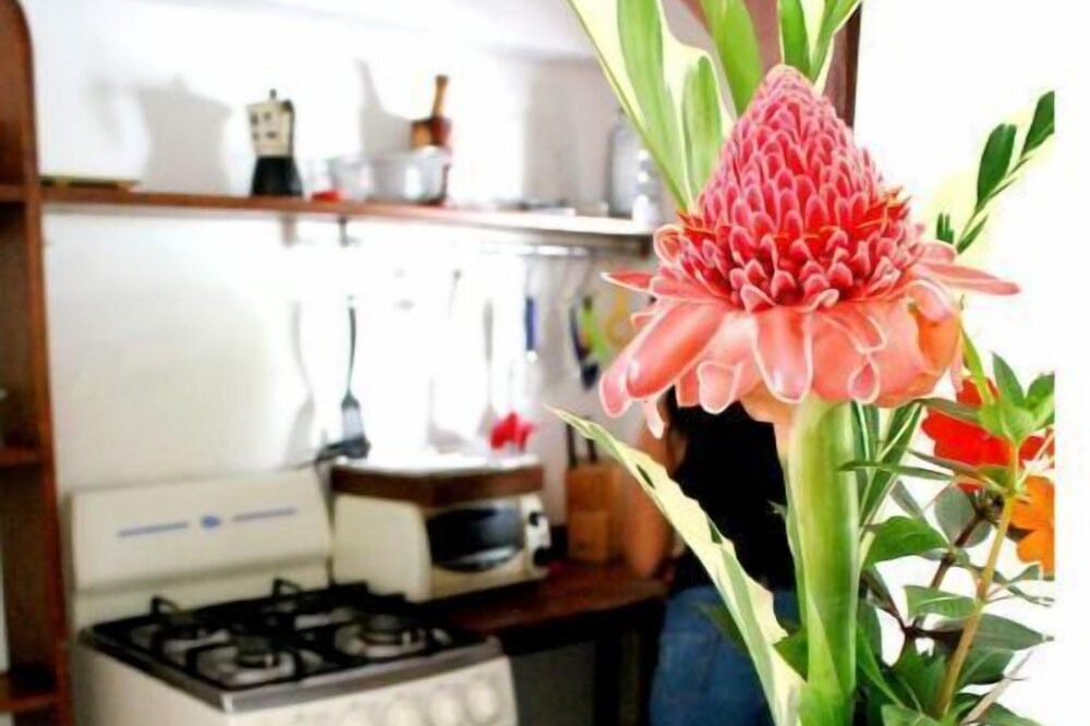 Photo of Kitchen in Los Cacaos