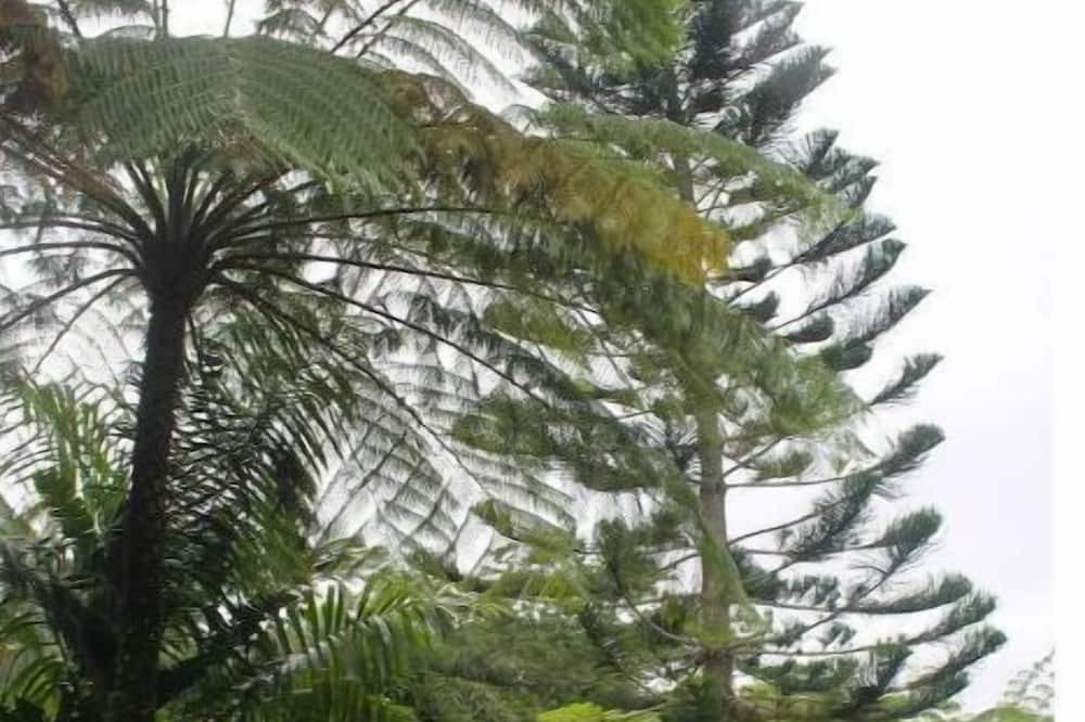 Photo of Outdoor in Cambita Garabitos