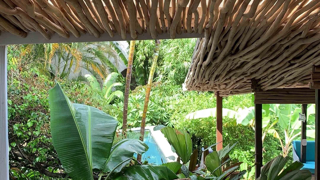 Photo of Outdoor in La Ceiba