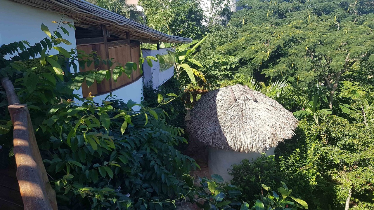 Photo of Outdoor in La Ceiba