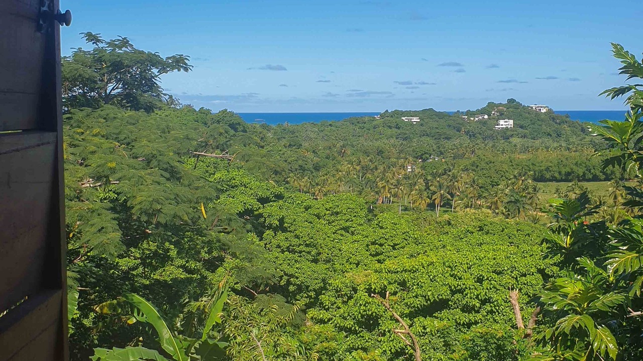 Photo of Others in La Ceiba