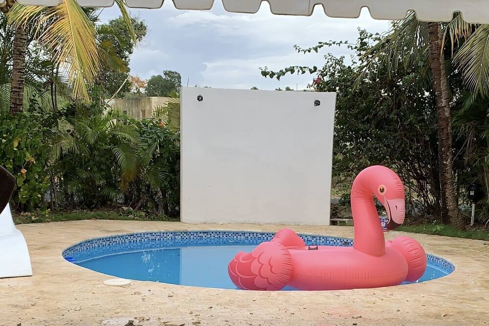 Photo of Outdoor in Juan Dolio