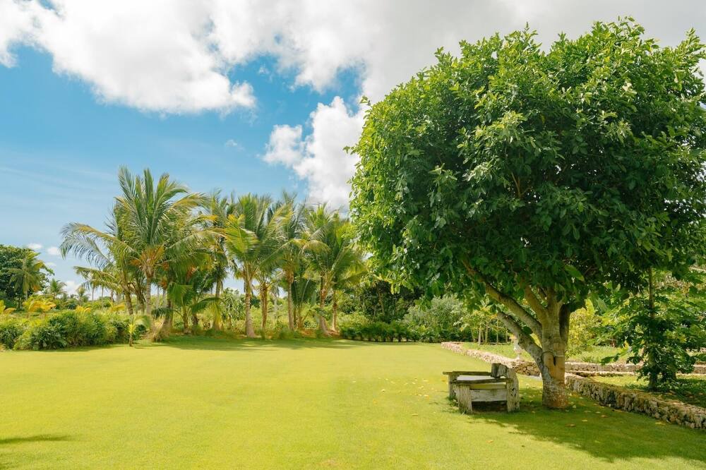 Photo of Others in Punta Cana