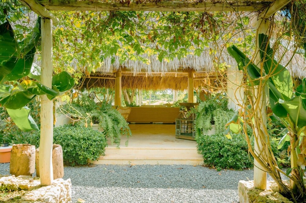 Photo of Outdoor in Punta Cana
