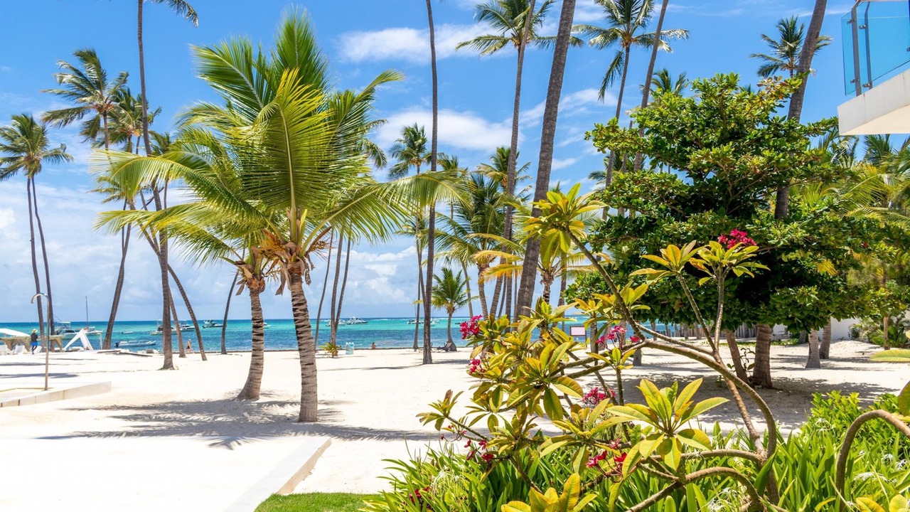 Photo of Others in Bavaro