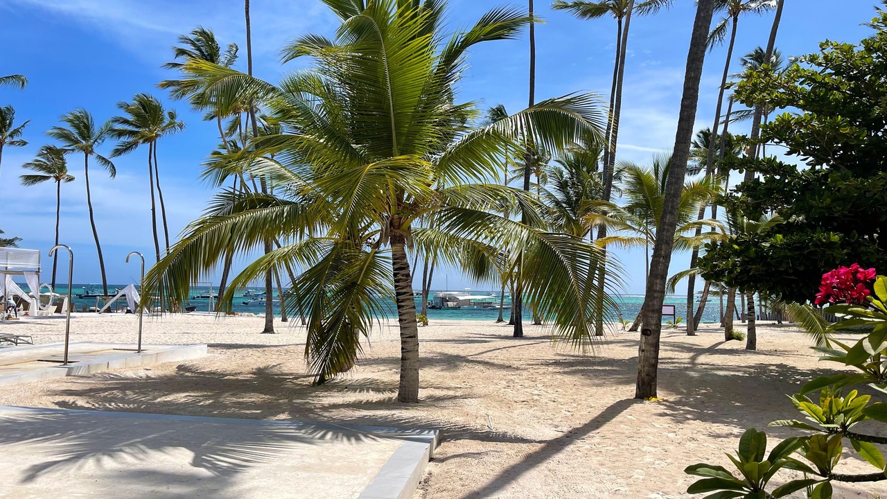 Photo of Others in Bavaro