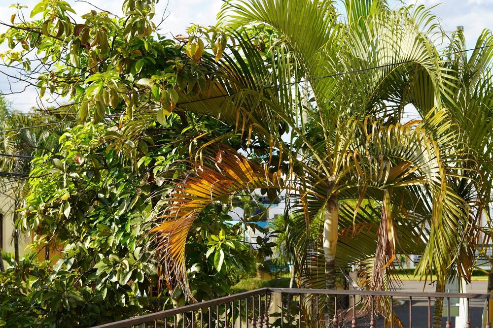 Photo of Outdoor in Bonao