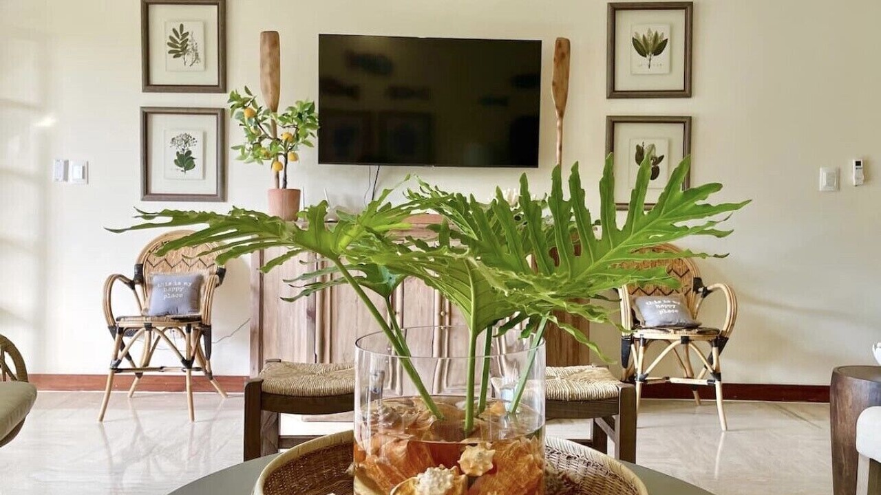 Photo of Kitchen in Las Terrenas