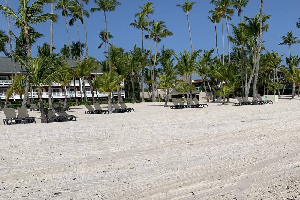 Photo of Others in Playa Bibijagua