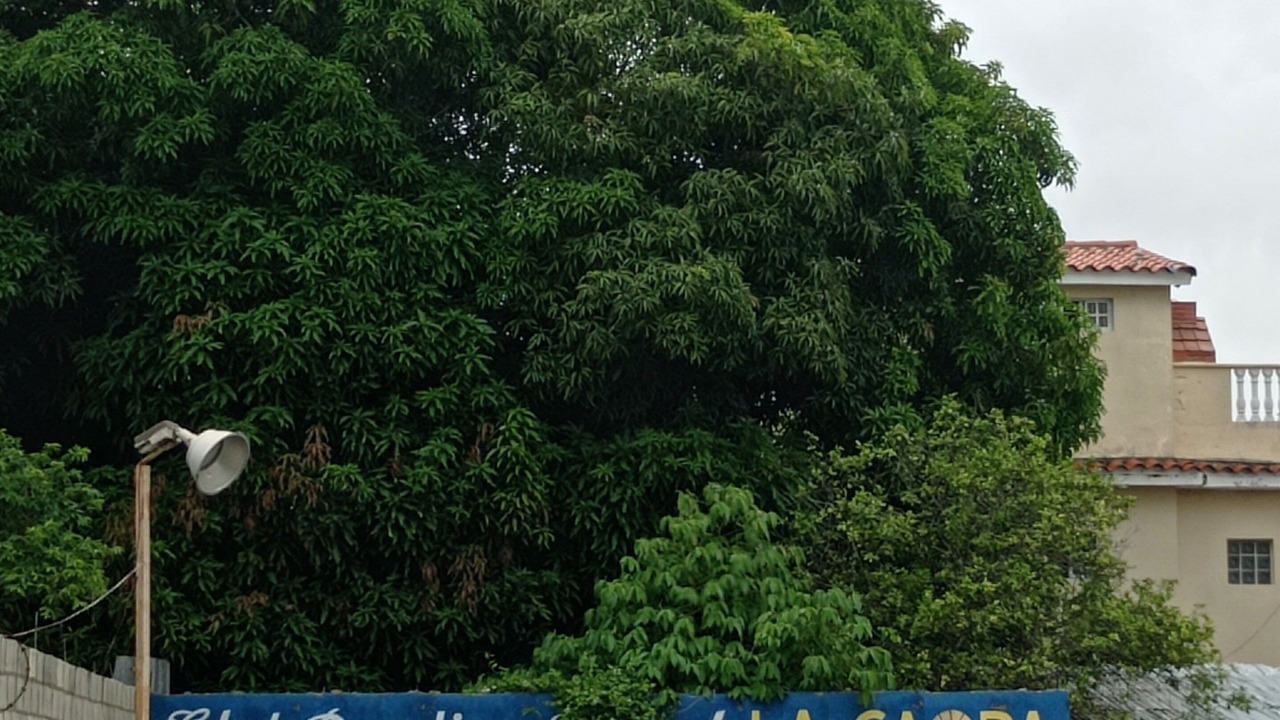 Photo of Outdoor in Boca Chica