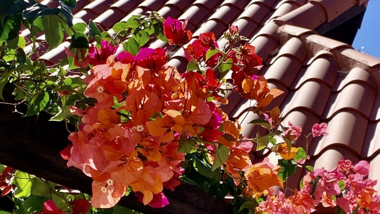 Photo of Outdoor in Reparto Ibarra