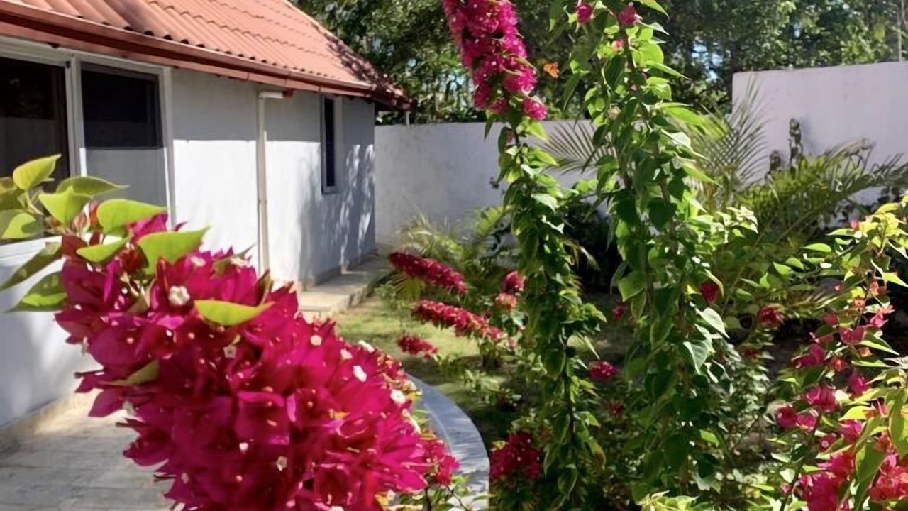 Photo of Outdoor in Boca Chica