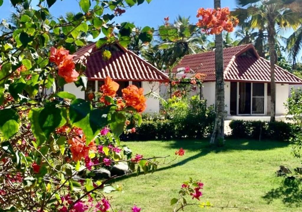 Photo of Outdoor in Boca Chica