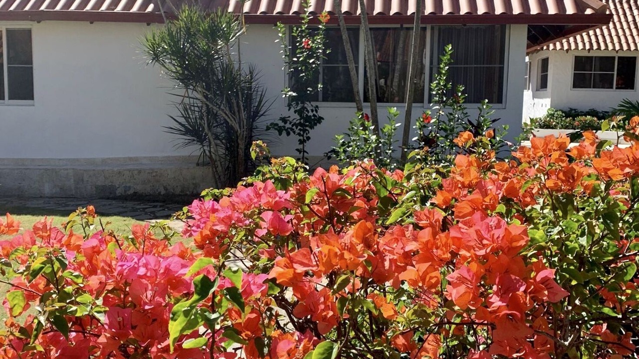 Photo of Outdoor in Boca Chica