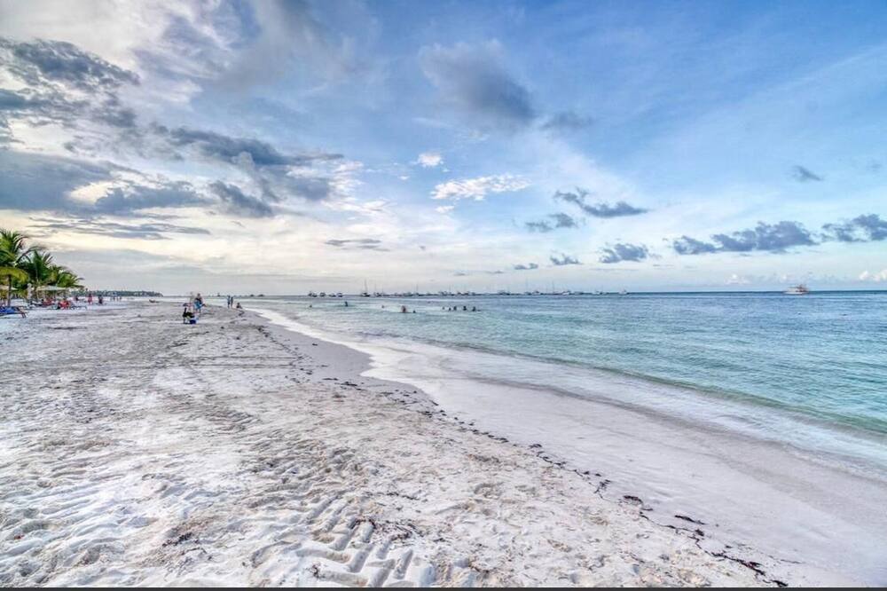 Photo of Others in Playa Bibijagua