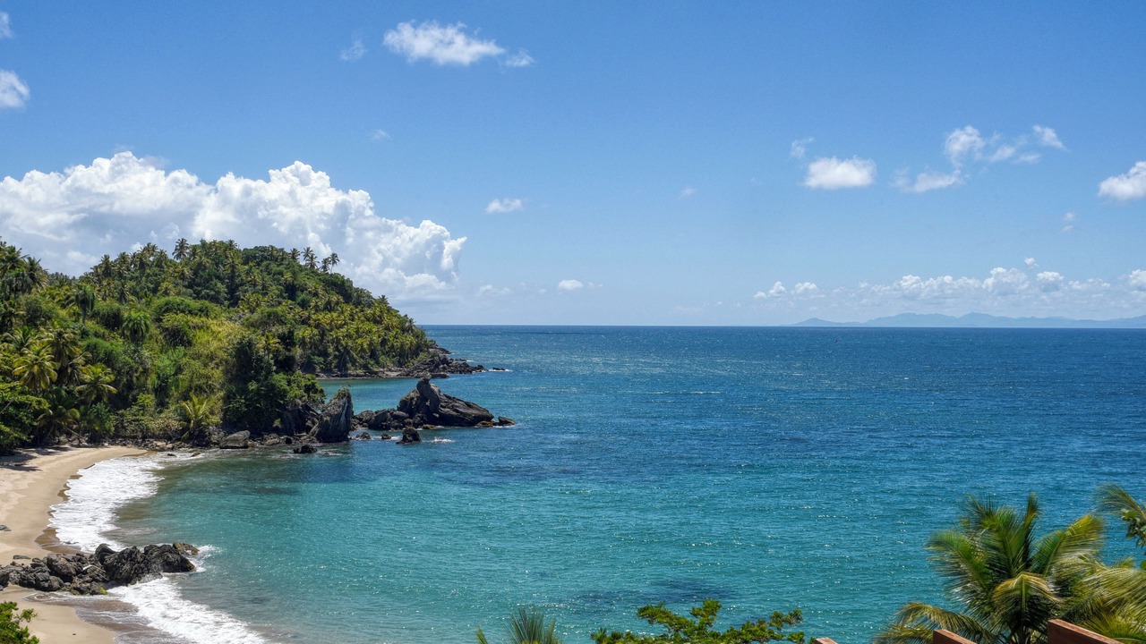 Photo of Others in Samana