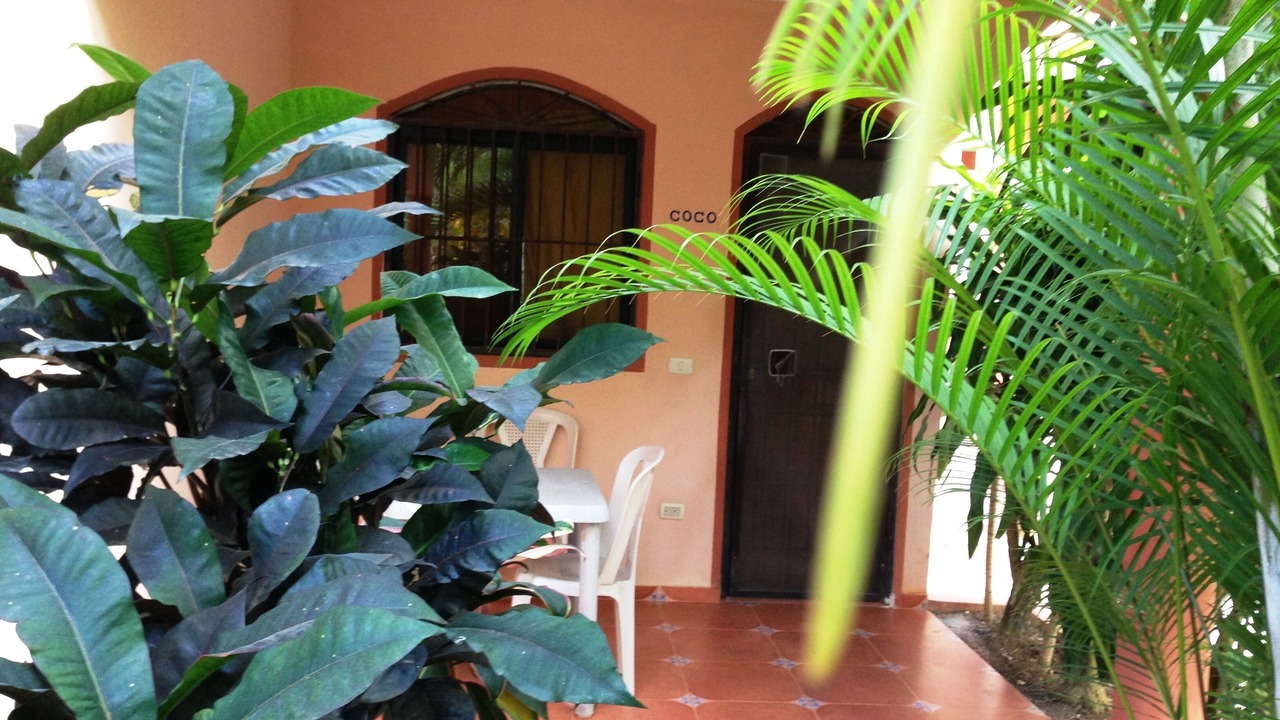 Photo of Outdoor in La Ceiba