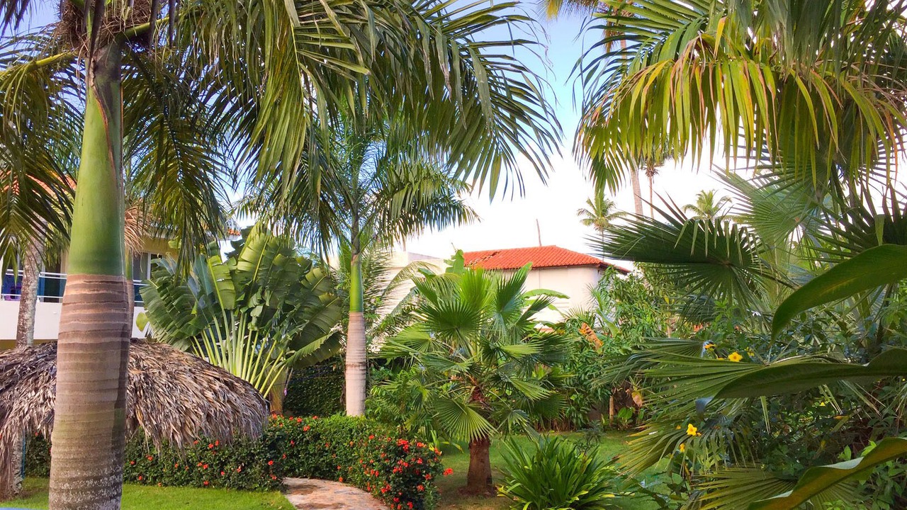 Photo of Outdoor in Las Galeras