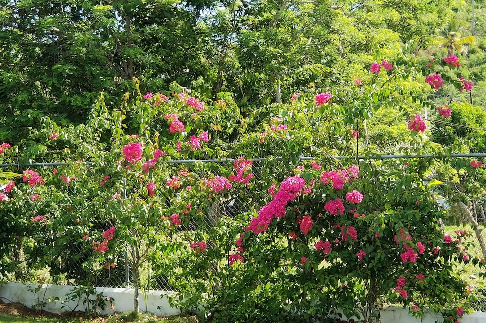 Photo of Outdoor in El Centro