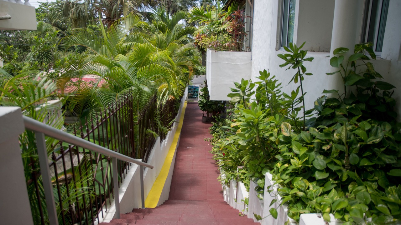 Photo of Outdoor in Boca Chica