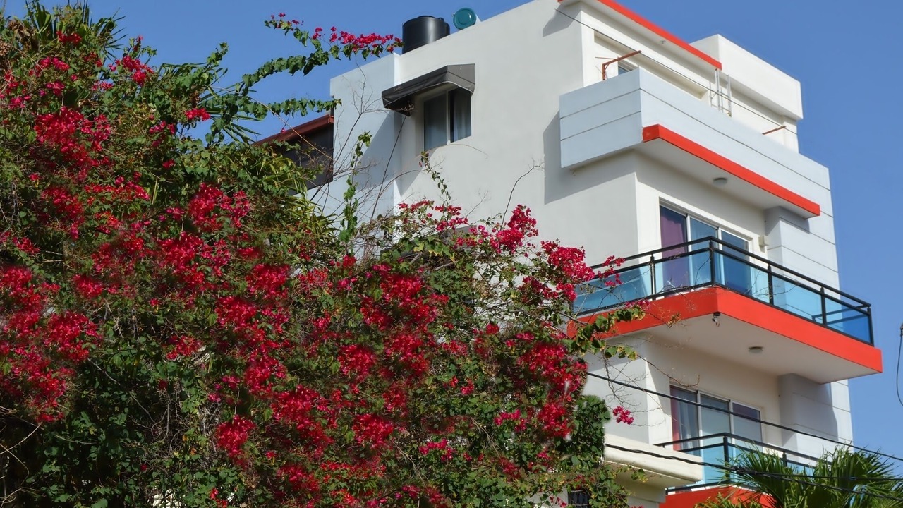 Photo of Outdoor in Las Acacias
