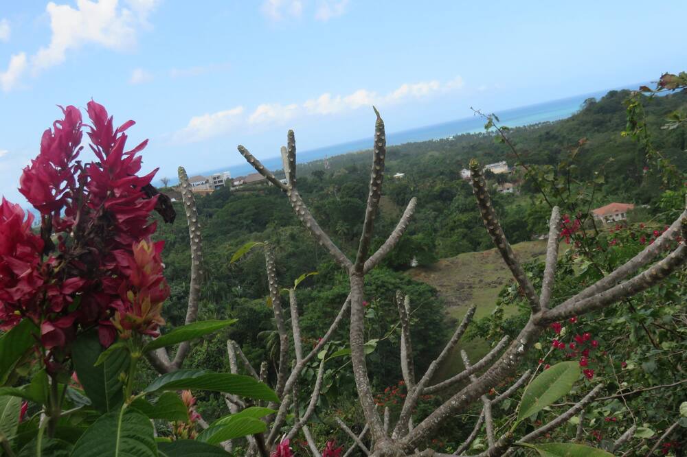 Photo of Outdoor in La Ceiba