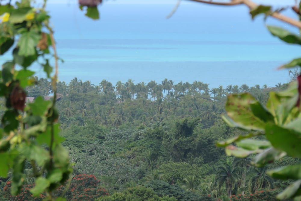 Photo of Outdoor in La Ceiba
