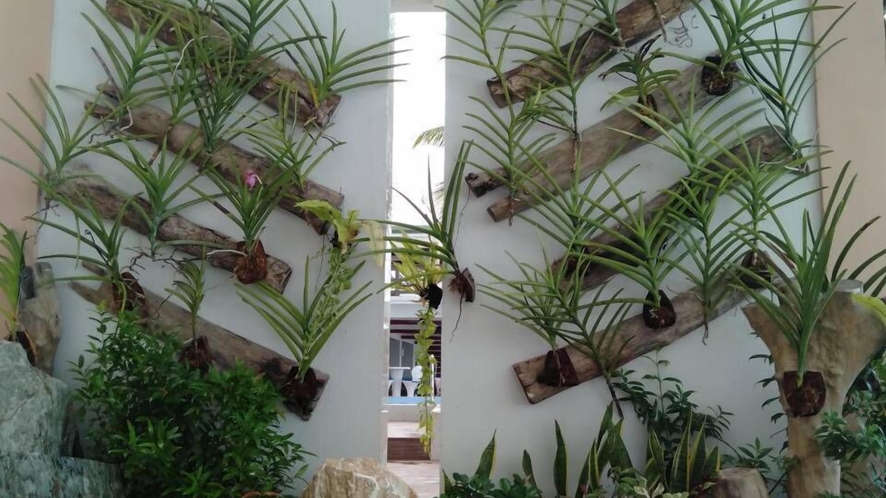 Photo of Outdoor in Puerto Galera
