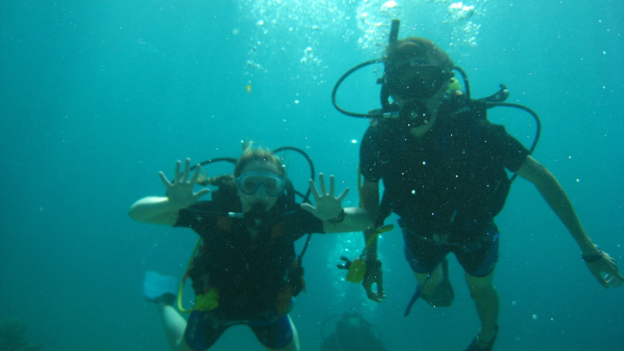 Photo of Others in Las Galeras