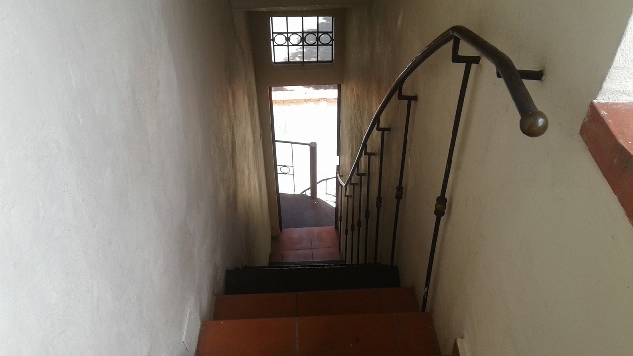Photo of Others in Gascue
