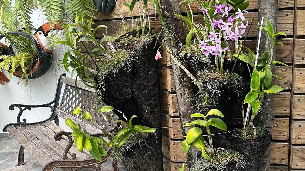 Photo of Patio Balcony in Boca Chica