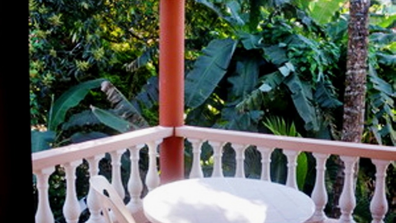 Photo of Outdoor in La Ceiba
