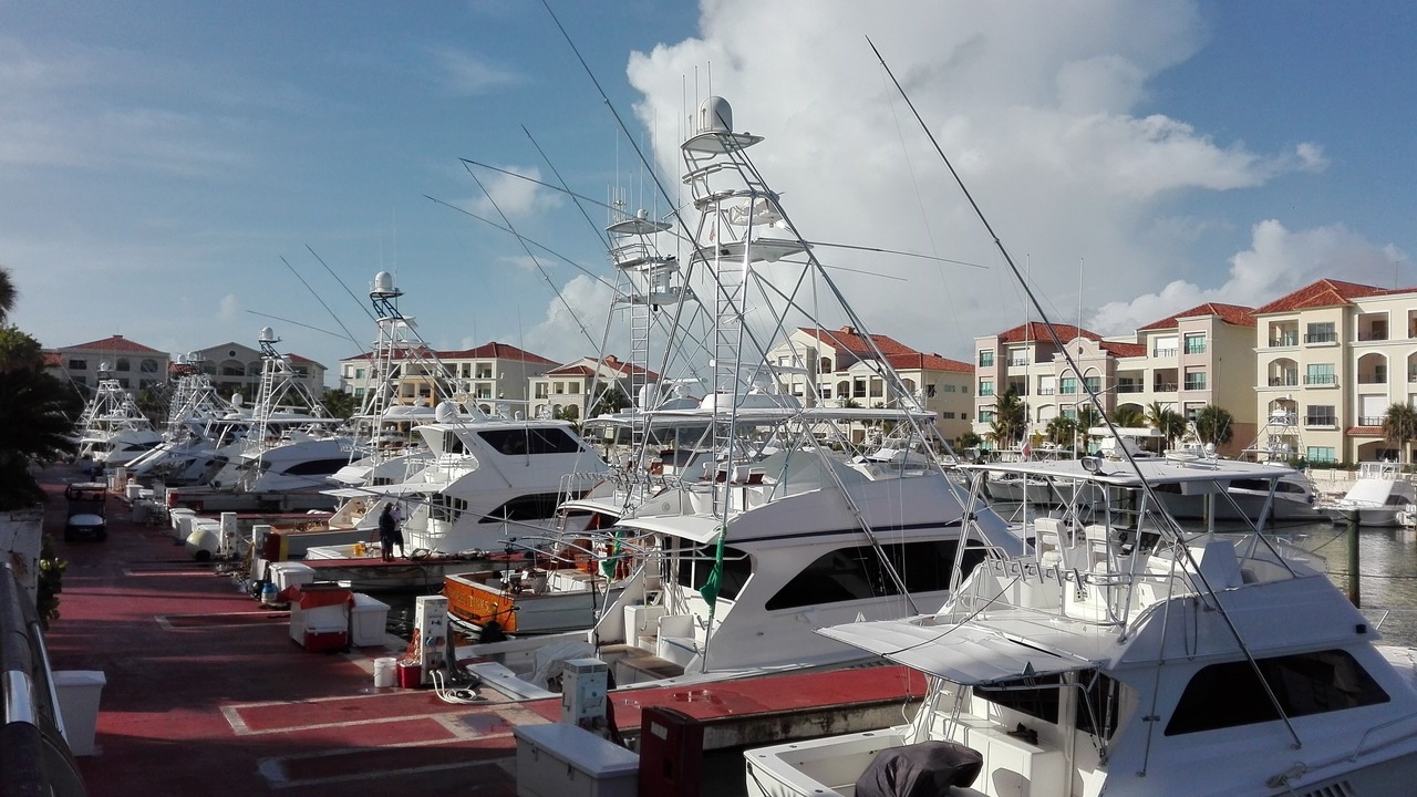 Photo of Others in Cap Cana Marina