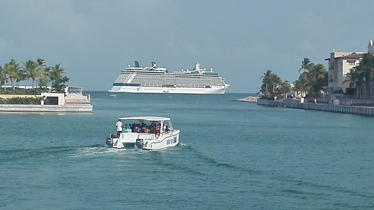 Photo of Others in Cap Cana Marina