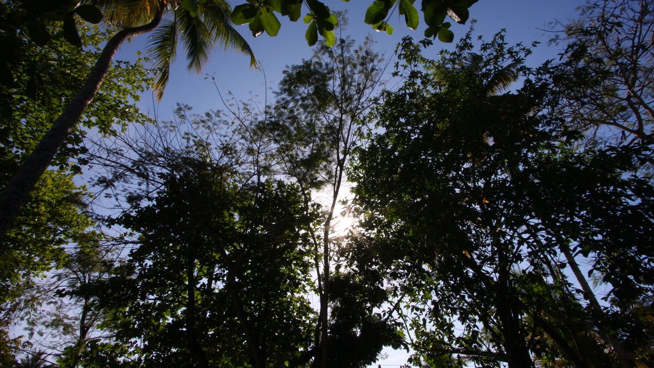 Photo of Outdoor in La Iglesia