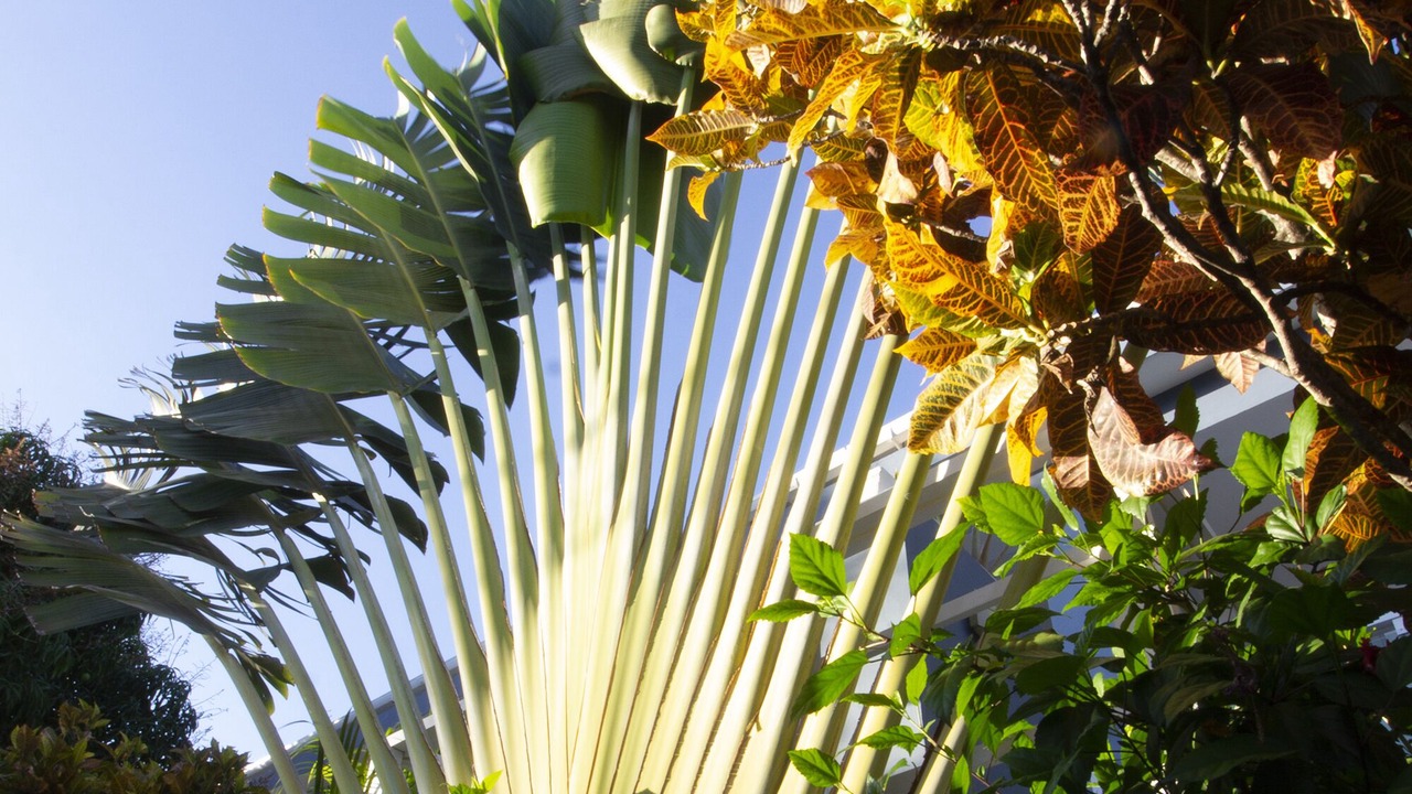 Photo of Outdoor in El Batey