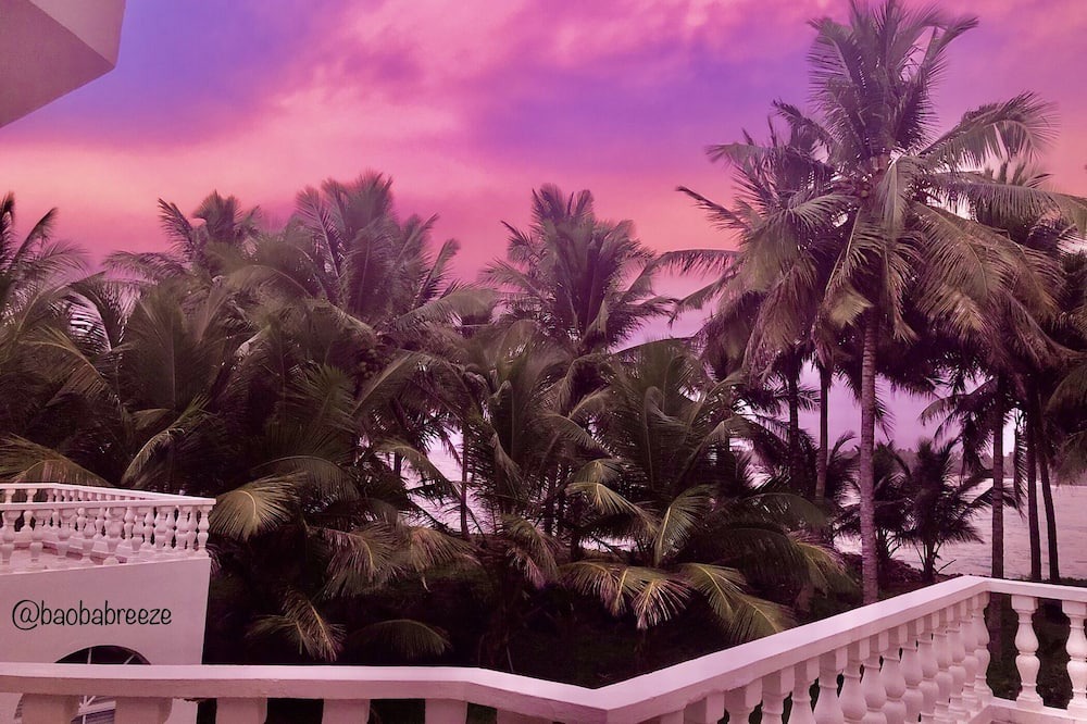 Photo of Patio Balcony in Baoba del Pinar