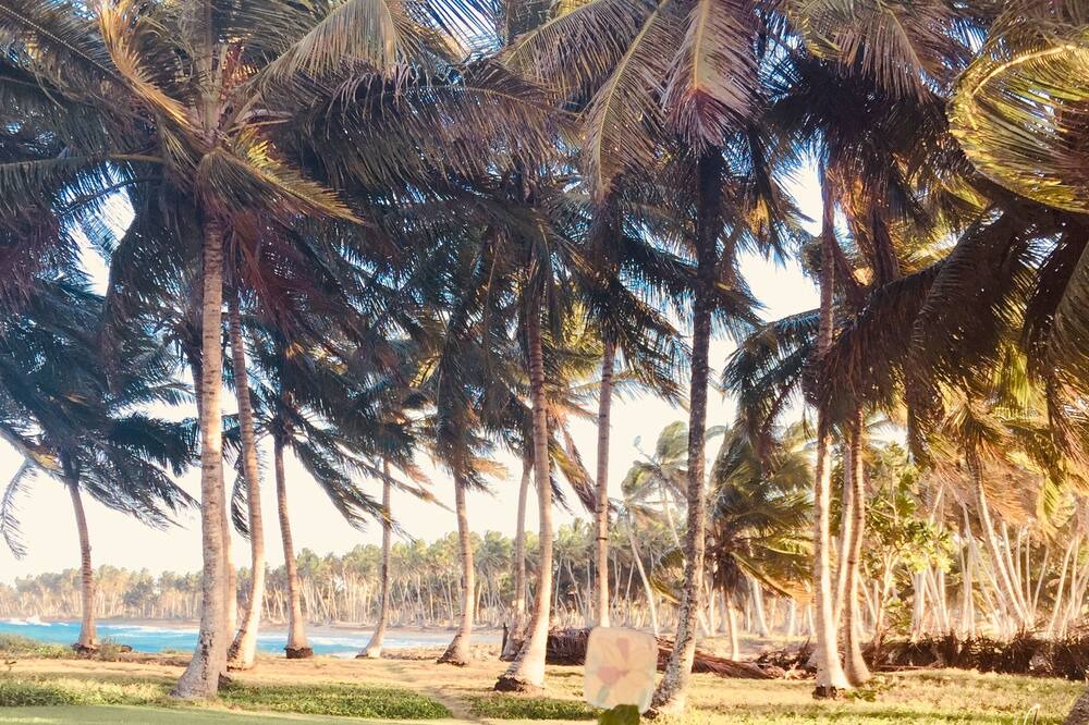 Photo of Others in Baoba del Pinar