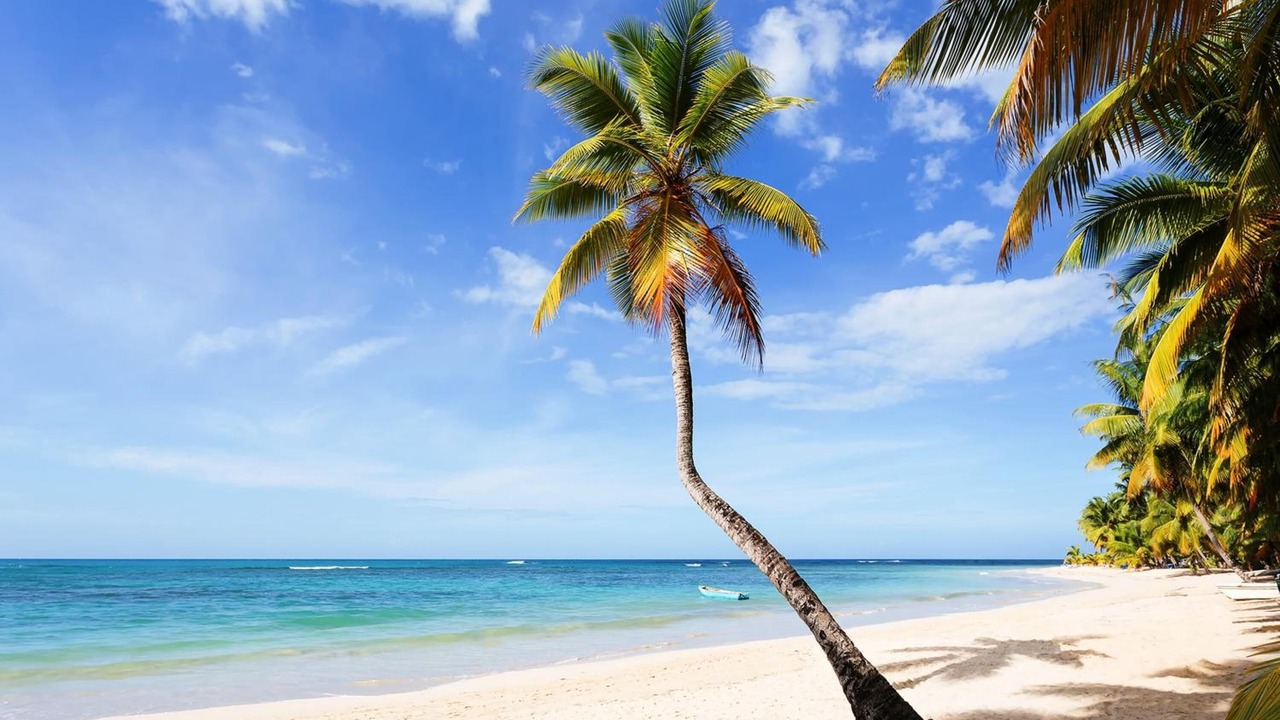 Photo of Others in Las Terrenas