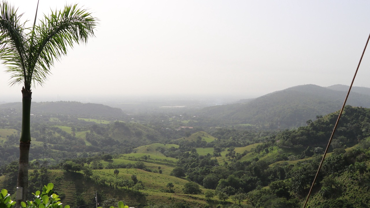 Photo of Others in La Vega
