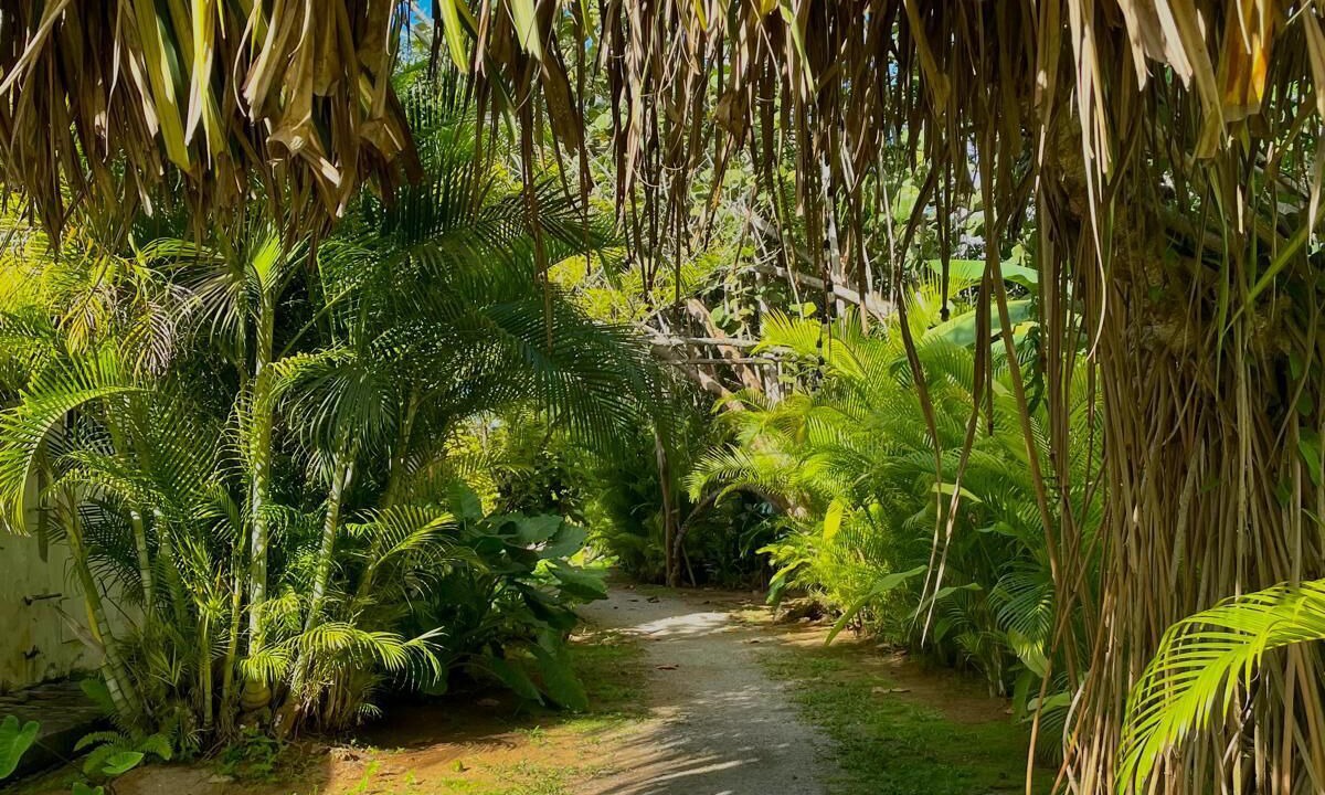 Photo of Outdoor in Las Terrenas