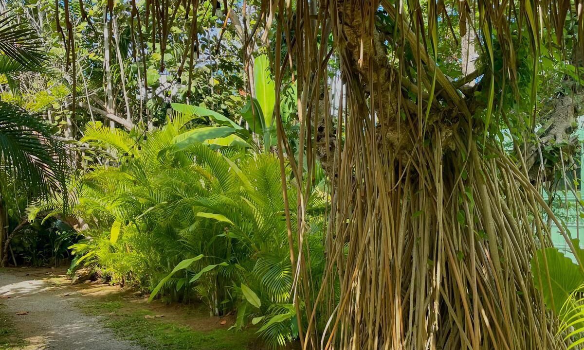 Photo of Outdoor in Las Terrenas